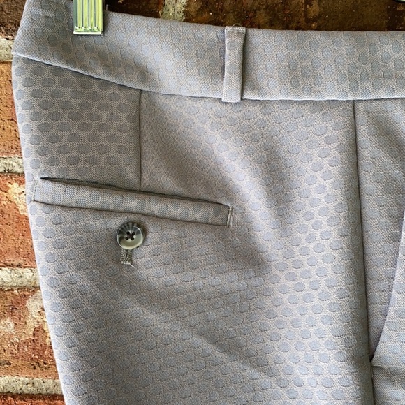 Banana Republic Hampton || Pants; Size 0 - Picture 9 of 14